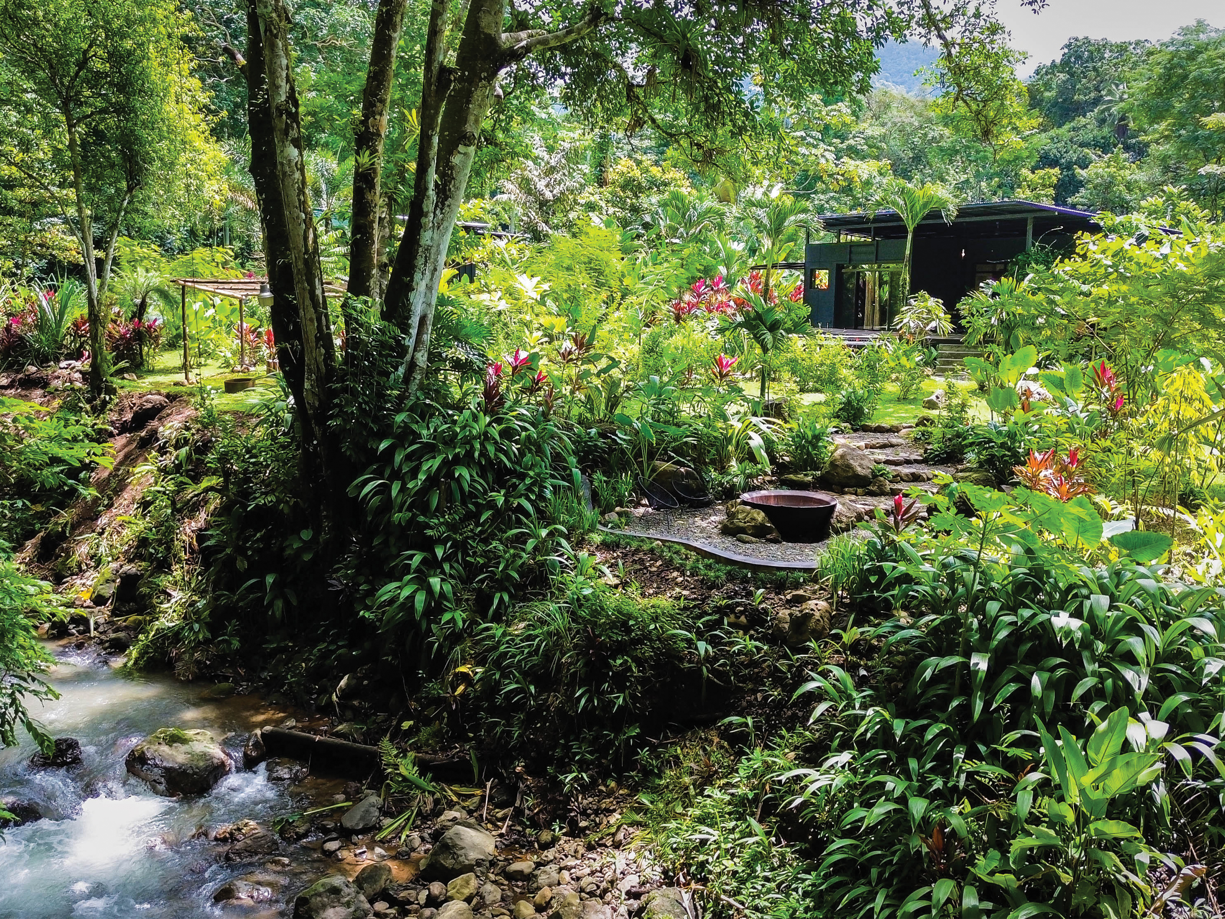 Butterfly Bungalow: A Private Jungle Stay for Couples in Costa Rica