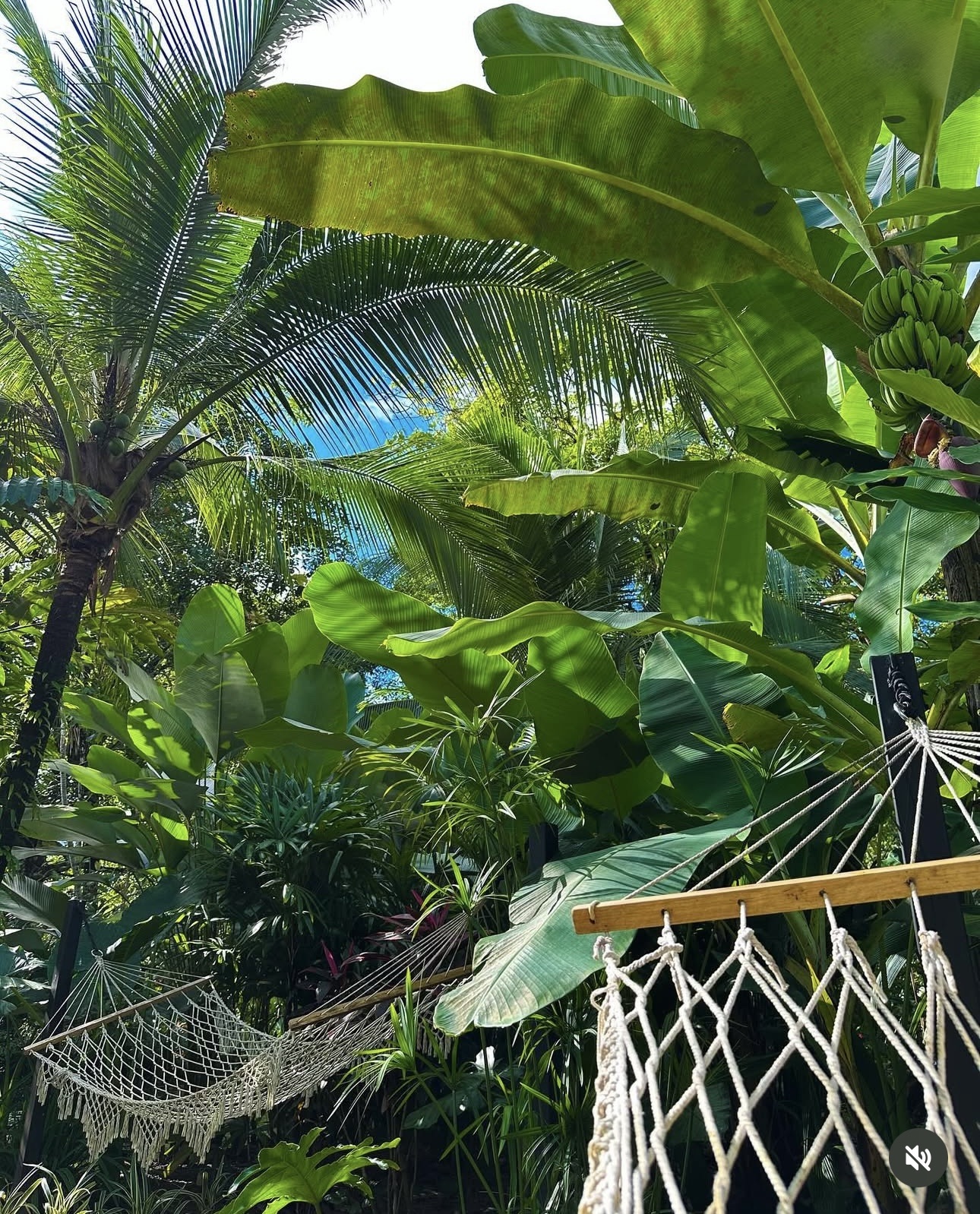 Why Eco-Luxury Travel in Costa Rica Is the Future of Conscious Tourism