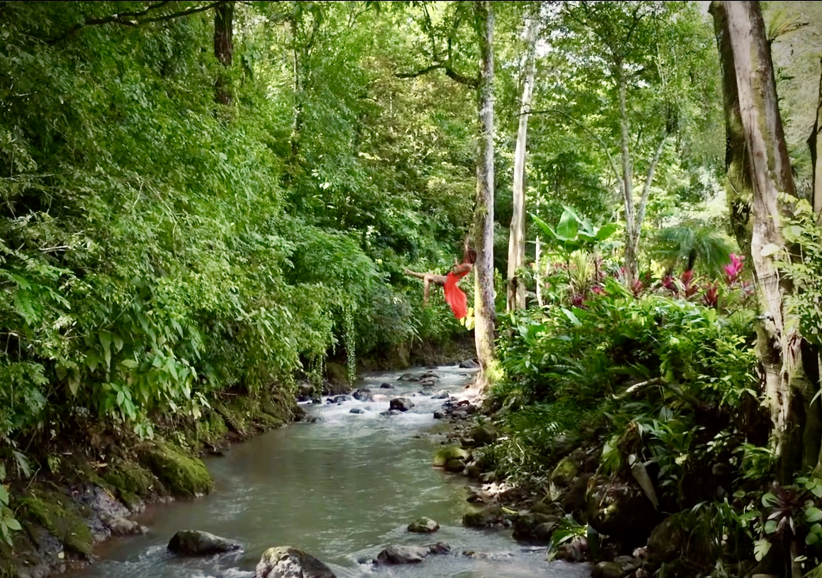 Experiences That Make A Jungle Stay Near Manuel Antonio National Park Unforgettable